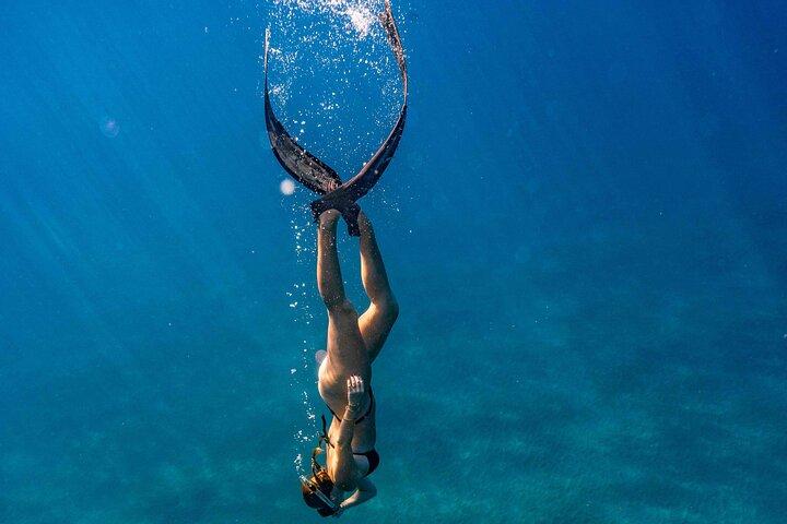 Two Site Snorkeling Adventure featuring the Molokini Crater