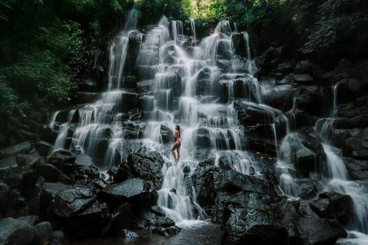 Bali Ubud Tour Monkey Forest, Waterfall, Temple & Rice Terrace