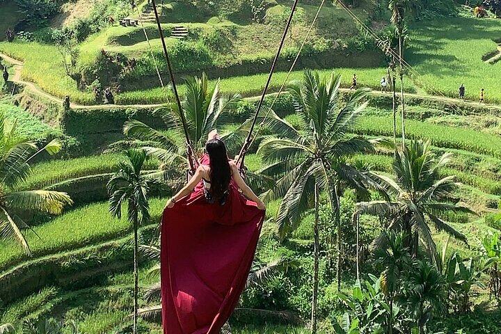 Bali Ubud Tour Monkey Forest, Waterfall, Temple & Rice Terrace