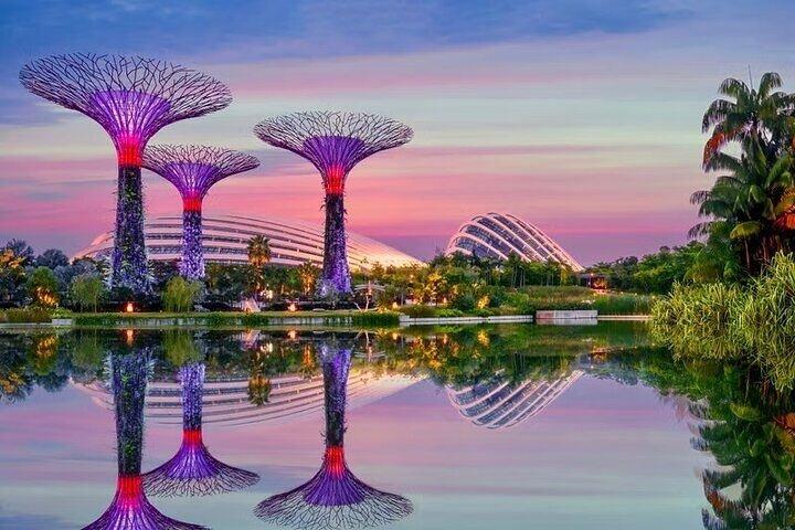 Singapore Gardens by the Bay E-Ticket: Flower Dome + Cloud Forest