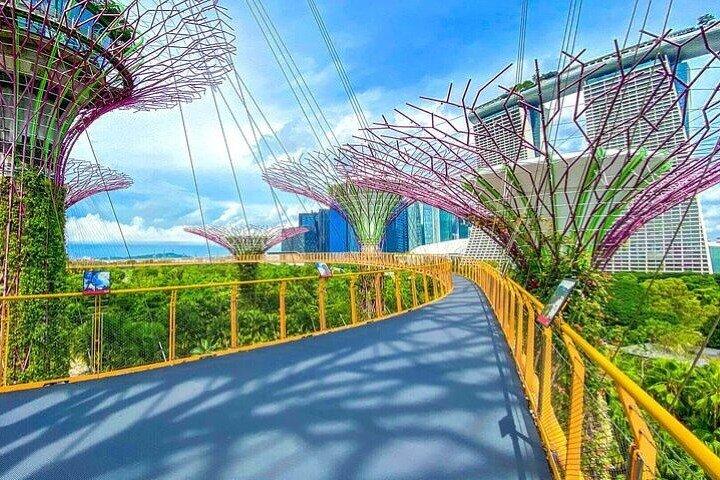 Singapore Gardens by the Bay E-Ticket: Flower Dome + Cloud Forest