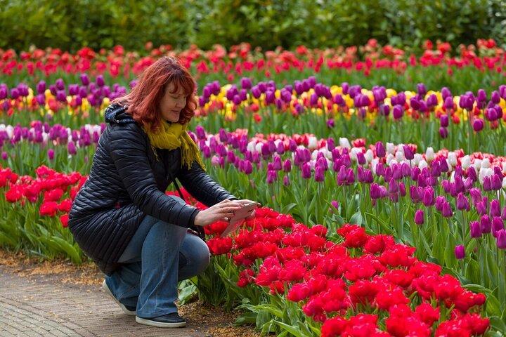 Delft and Keukenhof Gardens Tour from Brussels