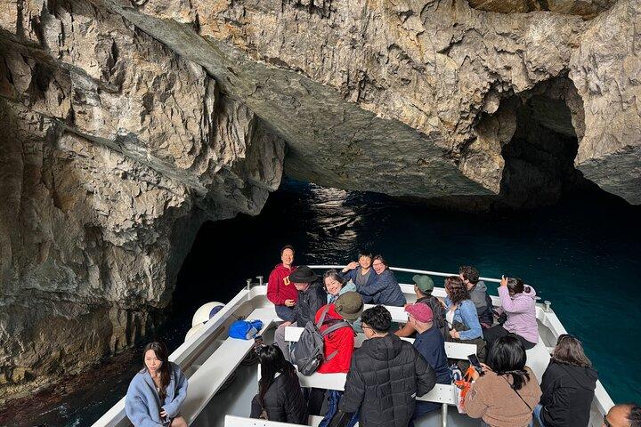 From Sorrento Capri and Anacapri Tour with Faraglioni cruise