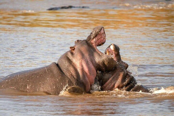 Lake Nakuru National Park Private 2 Day Tour