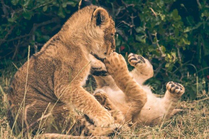 Lake Nakuru National Park Private 2 Day Tour