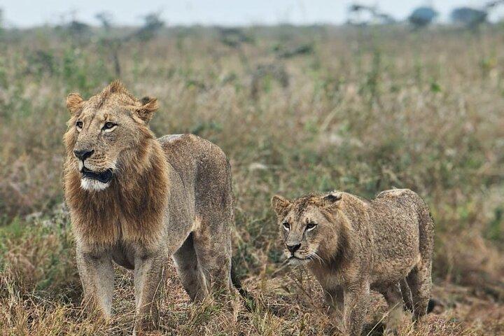Lake Nakuru National Park Private 2 Day Tour