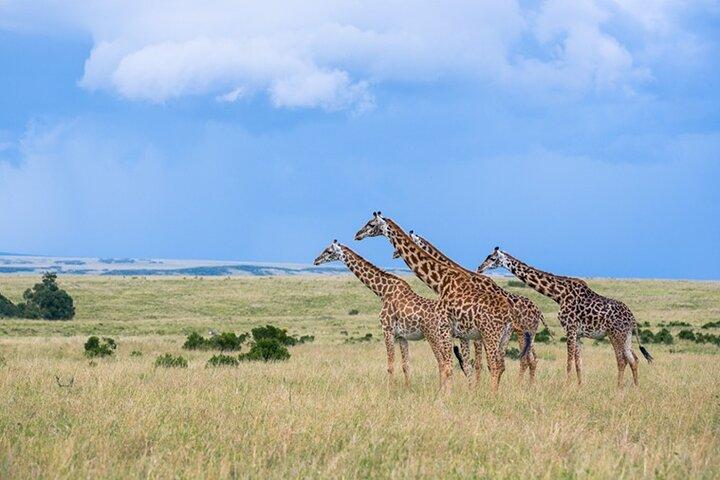 Lake Nakuru National Park Private 2 Day Tour