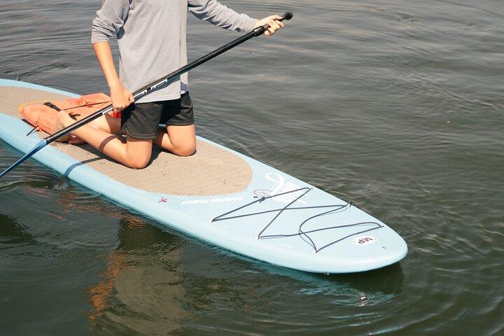 Crystal River Paddle Board Rental | 4 Hour | See The Manatees!