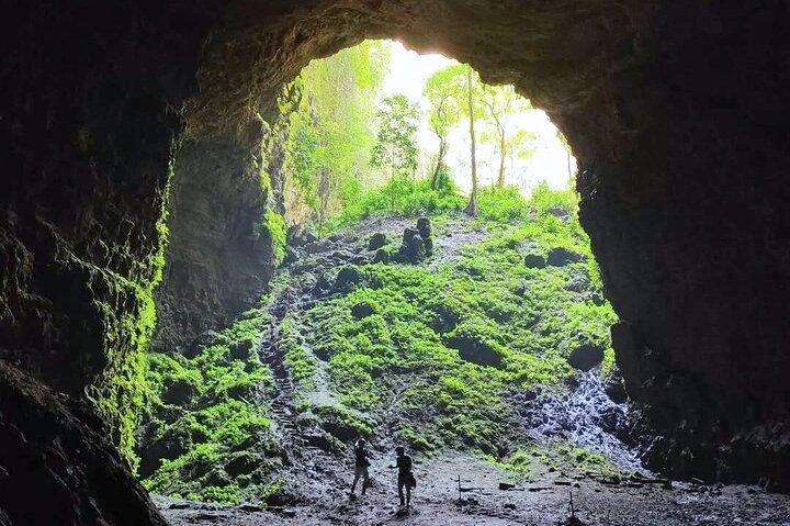 A Day Trip: The Magic of Jomblang Cave and the Thrill of Timang