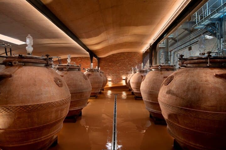 Private Cape Town Wine Tour 3 Tastings, Lunch and Expert Guide