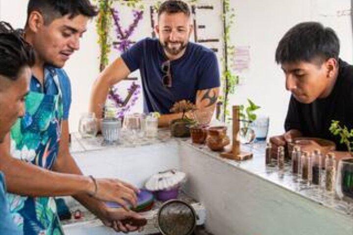 Del Grano al Cafe Learn how to roast grind and prepare coffe