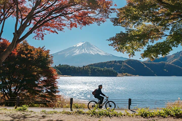 Fuji Five Lakes Guided Day Trip