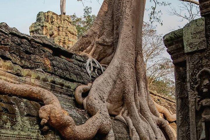 Siem Reap Private Full Day Angkor Wat Tour with Sunset or Sunrise