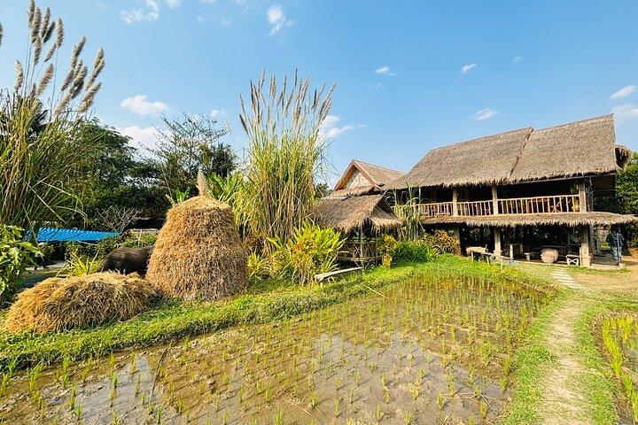 Rice is Life Experience & Kuang Si Waterfall - Luang Prabang full day tour
