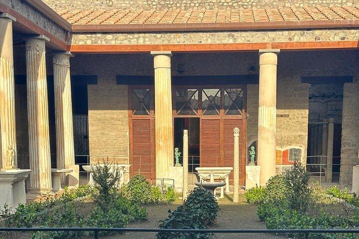 Deluxe Pompeii Excavations and Mount Vesuvius Tour from Salerno