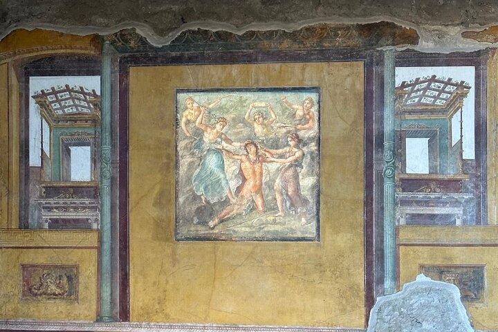 Deluxe Pompeii Excavations and Mount Vesuvius Tour from Salerno