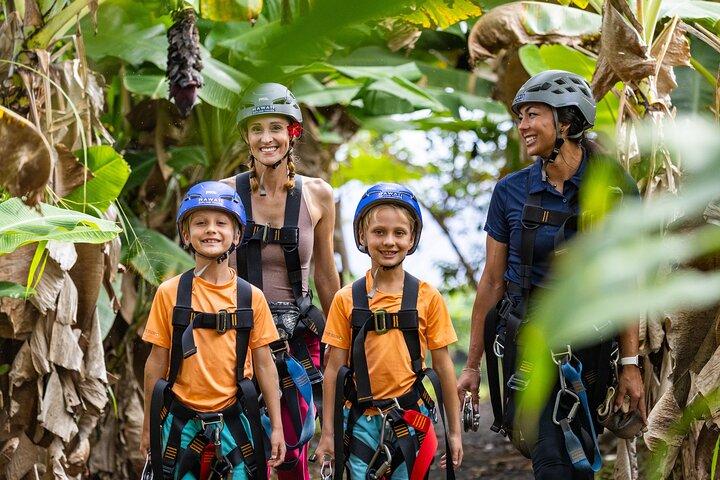 Big Island Zipline Tour Near Akaka Falls (250-ft Waterfall!)