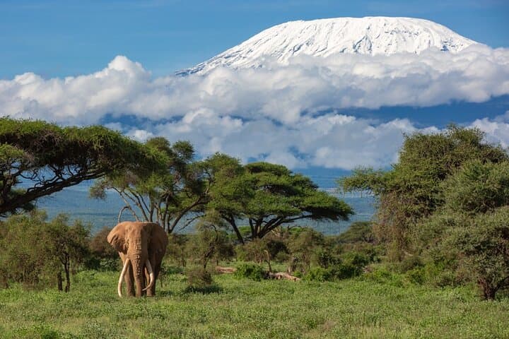 5 Day Amboseli Nakuru Masai Mara African Magic Tour
