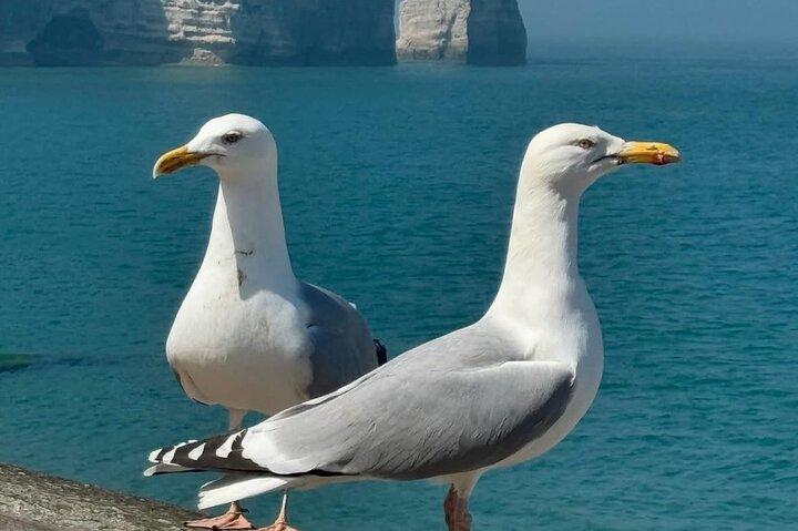 Small Group Normandy Tour from Paris