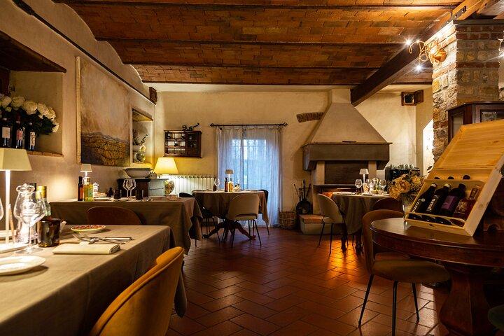 Organic Wine and Gourmet experience in Tuscany Chianti hills