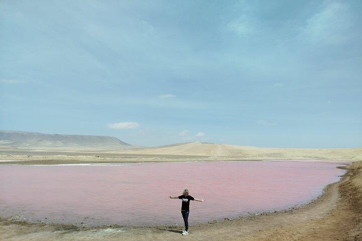 Paracas National Reserve Half-Day Tour