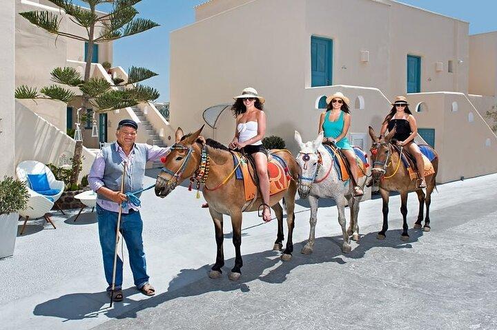 Santorini: Ride a Donkey or a Horse through Volcanic landscapes