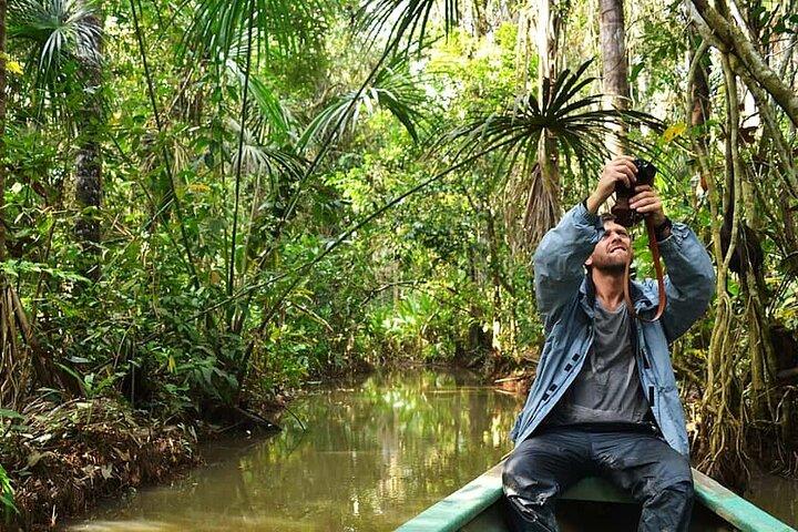The Best of Tambopata 2 Days Tour: The Amazon’s Highlights