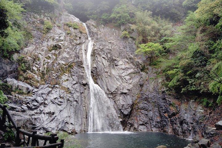 Kobe Nunobiki Falls Morning Guided Hike