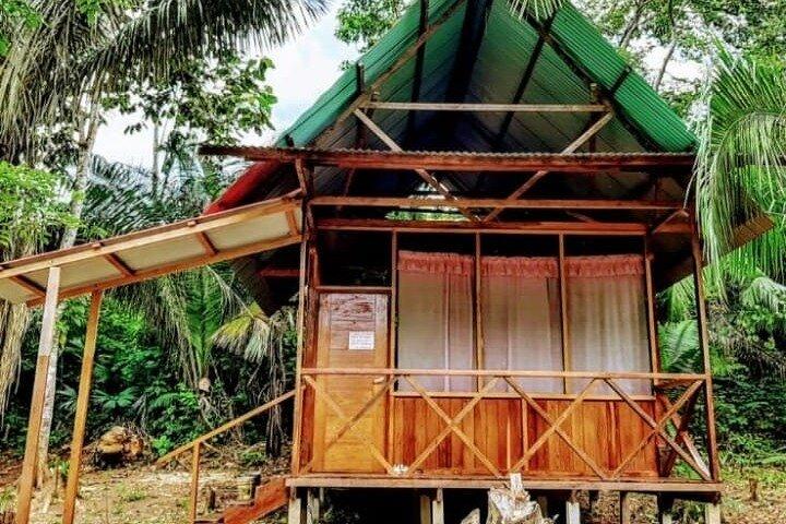 The Best of Tambopata 2 Days Tour: The Amazon’s Highlights