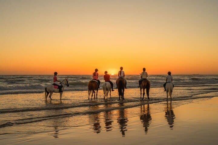 Agadir/Taghazout: Beach Horseback Riding Experience