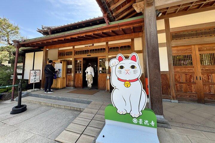 Lucky Cats Temple & Old Tokyo Yanaka 1/2-Day Walking Private Tour