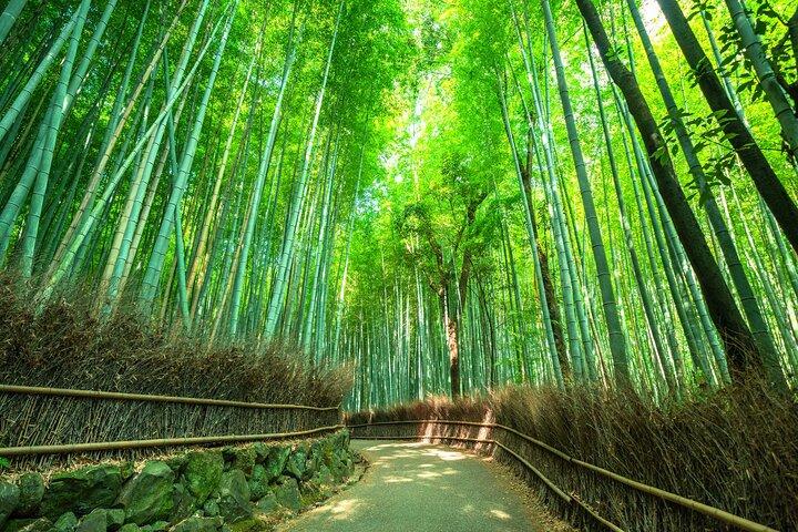 Kyoto Guided Tour of Bamboo Forest, Temple and more