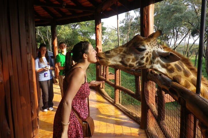 Giraffe Center and Karen Blixen Museum from Nairobi