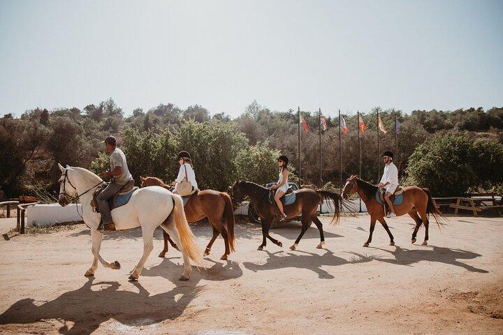 From Albufeira: Horse Riding Tour with Pickup
