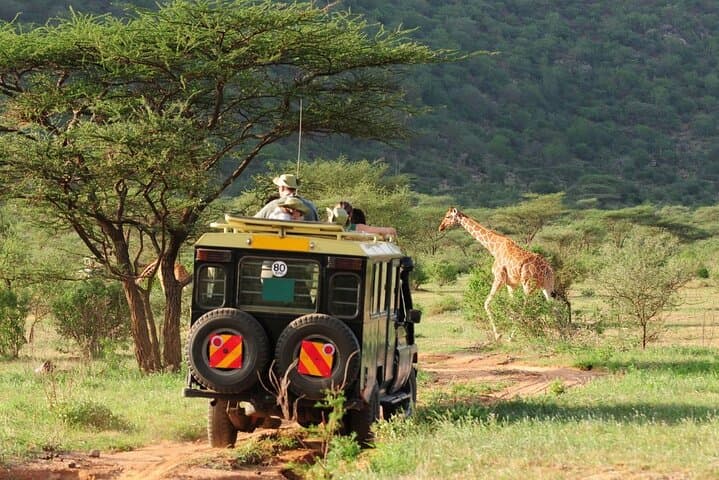 Big Five Full Day Safari at Aquila Game Reserve Cape Town