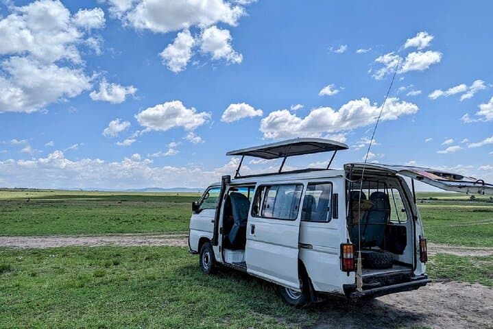 4-Day Maasai Mara & Lake Nakuru Budget Safari from Nairobi