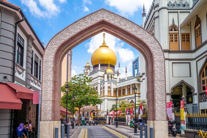 Private Singapore Car Tour Hotel Pickup Flexible Itinerary