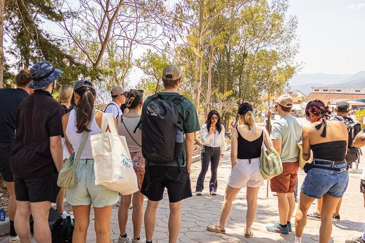 Hierve el Agua and Distillery of Mezcal Tour