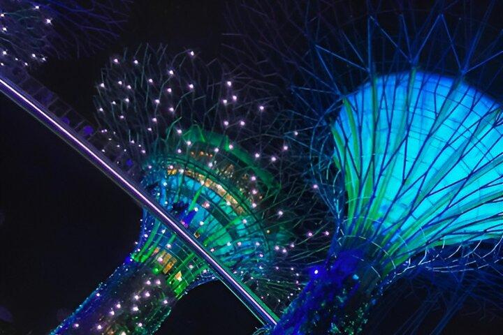 Garden by the Bay Singapore combo with one way transfer