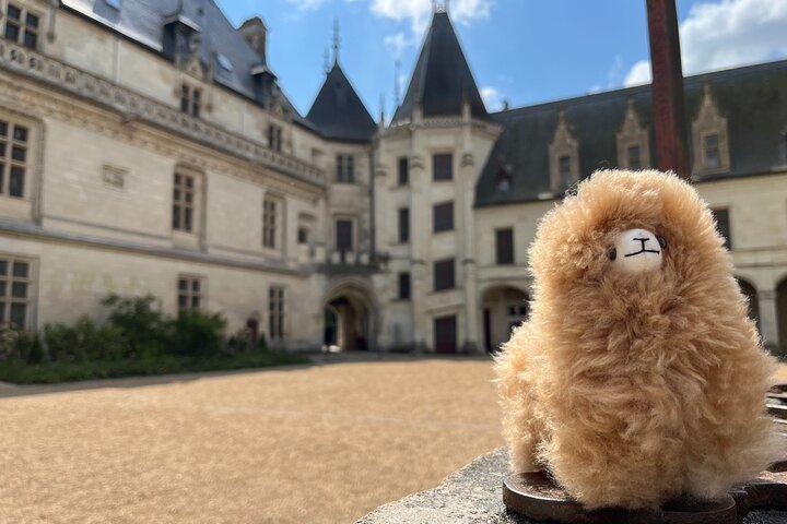 Small Group 3 Loire Valley Castles & Wine Tasting Guided Tour