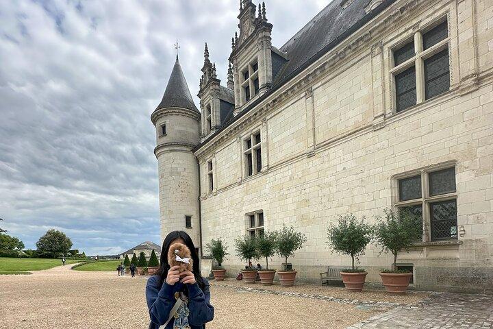 Small Group 3 Loire Valley Castles & Wine Tasting Guided Tour