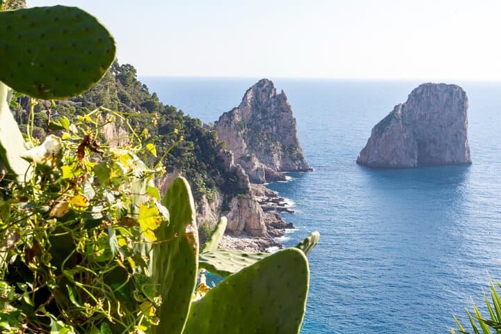 Pompeii and Capri Island Day Trip from Naples