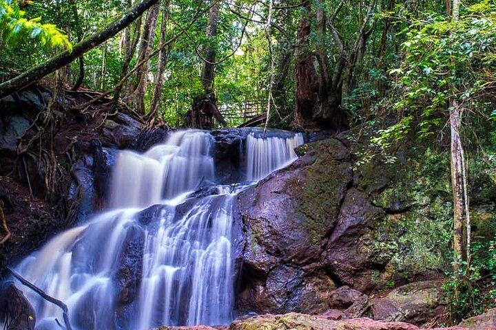 Nairobi Karura Forest Walking Tour