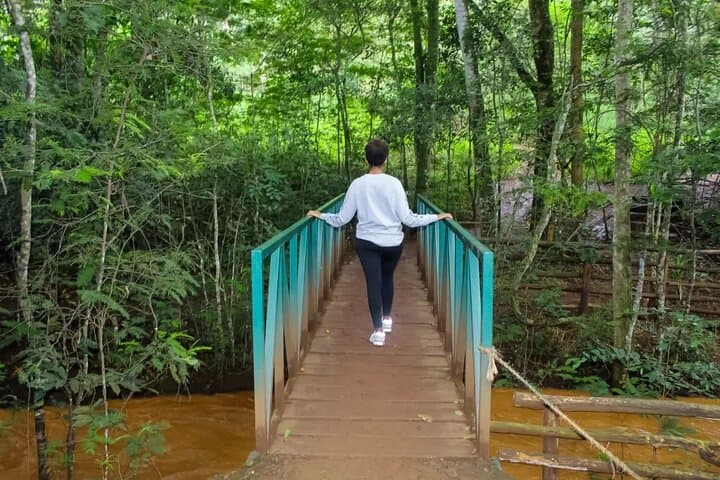 Nairobi Karura Forest Walking Tour