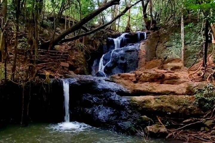 Nairobi Karura Forest Walking Tour