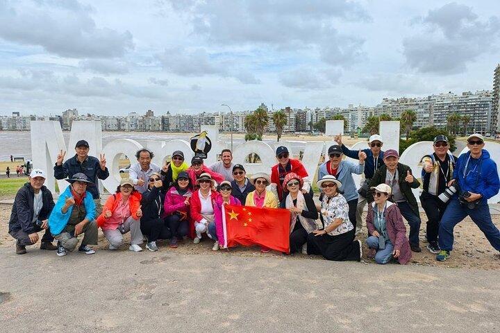 Montevideo in Style: Private City Tour for Cruise Passengers