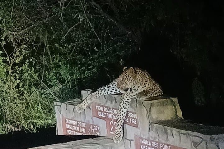 Night time Game Drive Experience in Nairobi National Park