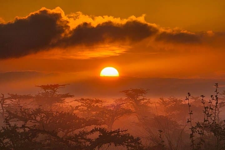 Night time Game Drive Experience in Nairobi National Park