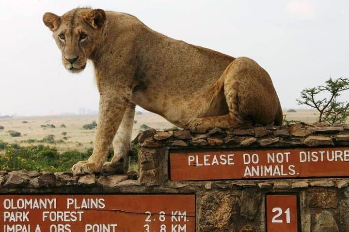 Nairobi National Park Game Drive and Beads Center Tour