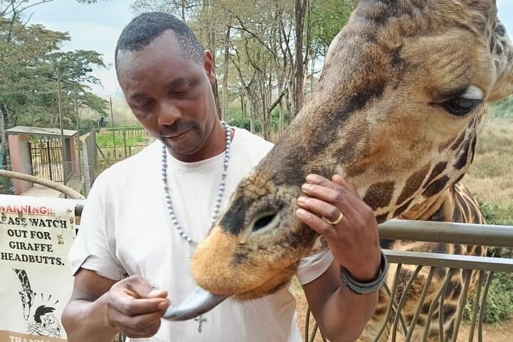 Giraffe Centre and Karen Blixen Museum Guided Tour Experience